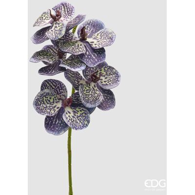 EDG Enzo De Gasperi Orchidea Vanda Ramo H 65 Cm Pianta Artificiale Mix Viola EDG Enzo De Gasperi Orchidea Vanda Ramo H 65 Cm Pianta Artificiale Mix Viola