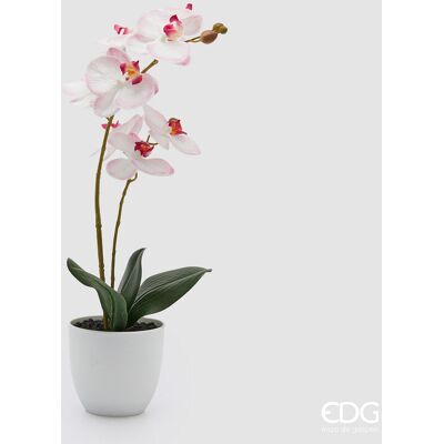 EDG Enzo De Gasperi Orchidea Phalaenopsis Con Vaso E Foglie H 50 Cm Pianta Artificiale Rosa Chiaro EDG Enzo De Gasperi Orchidea Phalaenopsis Con Vaso E Foglie H 50 Cm Pianta Artificiale Rosa Chiaro