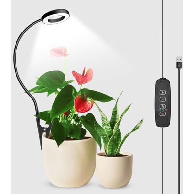 AULEDIO Lampada Led Per Piante A Spettro Completo, Clip Per Vaso, 6500 K, 3 Temperature Colore, Collo D’oca Flessibile 360°, Timer 3/9/12 H, 5 Livelli Di Luminosità AULEDIO Lampada Led Per Piante A Spettro Completo, Clip Per Vaso, 6500 K, 3 Temperature Colore, Collo D’oca Flessibile 360°, Timer 3/9/12 H, 5 Livelli Di Luminosità