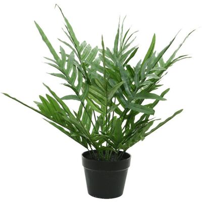 ALTRO Phlebodium Artificiale In Vaso 63x54cm ALTRO Phlebodium Artificiale In Vaso 63x54cm