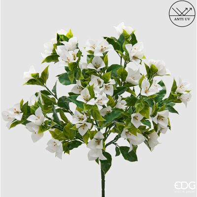 EDG Enzo De Gasperi Bouganvillea Cespuglio X8 Con Foglie Anti-uv Pianta Artificiale H 50 Cm Bianco EDG Enzo De Gasperi Bouganvillea Cespuglio X8 Con Foglie Anti-uv Pianta Artificiale H 50 Cm Bianco