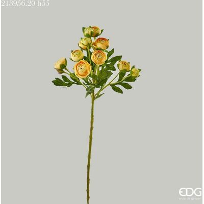EDG Enzo De Gasperi Ranuncolo Chic H 55 Cm Giallo 1 Pz EDG Enzo De Gasperi Ranuncolo Chic H 55 Cm Giallo 1 Pz