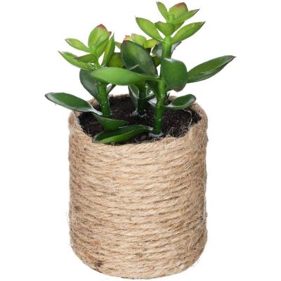 ATMOSPHERA Pianta Artificiale H16cm - Modello 2 Créateur D'Intérieur ATMOSPHERA Pianta Artificiale H16cm - Modello 2 Créateur D'Intérieur
