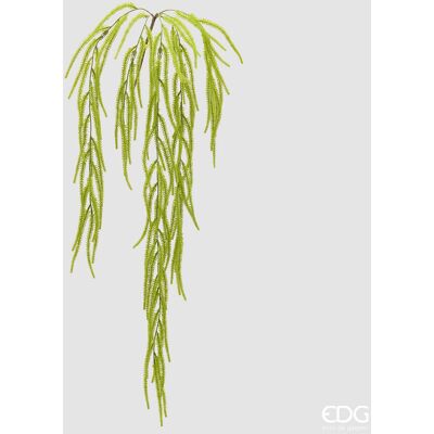 EDG Enzo De Gasperi Pianta Artificiale Amaranthus Cadente H 110 Cm Light Green – Pianta Decorativa Realistica Design Moderno EDG Enzo De Gasperi Pianta Artificiale Amaranthus Cadente H 110 Cm Light Green – Pianta Decorativa Realistica Design Moderno