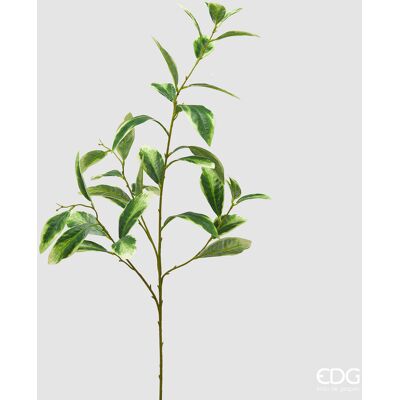 EDG Enzo De Gasperi Ligustro Ramo H 110 Cm Pianta Artificiale Giallo Verde EDG Enzo De Gasperi Ligustro Ramo H 110 Cm Pianta Artificiale Giallo Verde