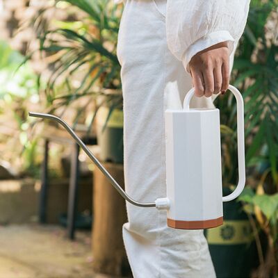 OEM Annaffiatoio Nordico In Plastica Per Piante In Vaso, Con Beccuccio Lungo E Curvo, 1 L (bianco) OEM Annaffiatoio Nordico In Plastica Per Piante In Vaso, Con Beccuccio Lungo E Curvo, 1 L (bianco)