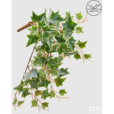 EDG Enzo De Gasperi Edera Bell Cadente Anti-uv H 50 Cm Pianta Artificiale Bianco Verde EDG Enzo De Gasperi Edera Bell Cadente Anti-uv H 50 Cm Pianta Artificiale Bianco Verde