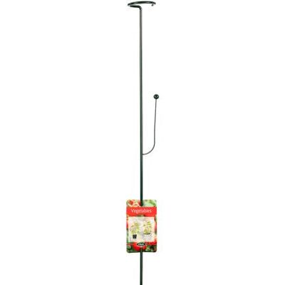ALTRO Sostegno Per Orchidee E Fiori In Vaso 75 Cm Cm Peacock Piante Accessori Interno Casa ALTRO Sostegno Per Orchidee E Fiori In Vaso 75 Cm Cm Peacock Piante Accessori Interno Casa