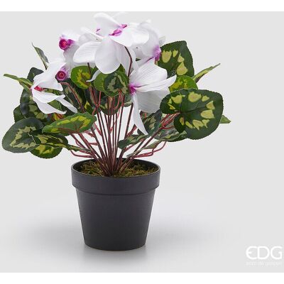 EDG Enzo De Gasperi Pianta Artificiale Ciclamino Con Foglie E Vaso H 32 Cm Bianco Viola – Pianta Decorativa Realistica Design Moderno EDG Enzo De Gasperi Pianta Artificiale Ciclamino Con Foglie E Vaso H 32 Cm Bianco Viola – Pianta Decorativa Realistica Design Moderno