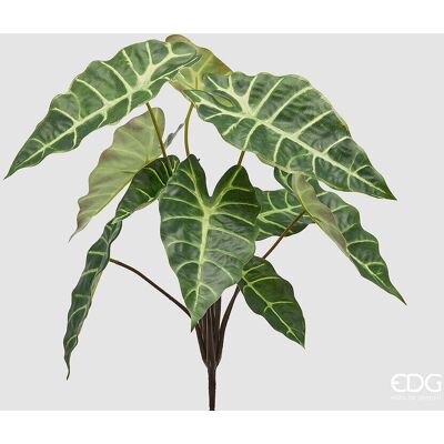 EDG Enzo De Gasperi Alocasia Cespuglio X10 H 40 Cm Pianta Artificiale Mix Verde EDG Enzo De Gasperi Alocasia Cespuglio X10 H 40 Cm Pianta Artificiale Mix Verde