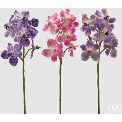 EDG Enzo De Gasperi Ramo Orchidea Vanda Artificiale H 70 Cm Ass. Violet Mix 1 Pz EDG Enzo De Gasperi Ramo Orchidea Vanda Artificiale H 70 Cm Ass. Violet Mix 1 Pz
