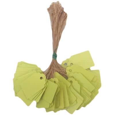 OEM 200 Etichette In Pvc Per Piante, Da Appendere, Per Fiori E Semi, Ideali Per L'Identificazione Di Piante, Fiori, Semi, Per Esterni, Casa E Giardino (gialle). OEM 200 Etichette In Pvc Per Piante, Da Appendere, Per Fiori E Semi, Ideali Per L'Identificazione Di Piante, Fiori, Semi, Per Esterni, Casa E Giardino (gialle).