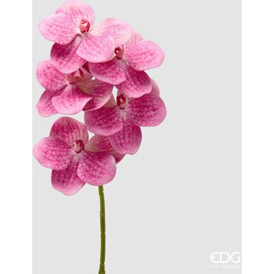 EDG Enzo De Gasperi Orchidea Vanda Ramo H 65 Cm Pianta Artificiale Fuchsia EDG Enzo De Gasperi Orchidea Vanda Ramo H 65 Cm Pianta Artificiale Fuchsia