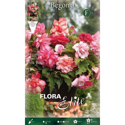Elite Begonia Pendula Pink Wave (confezione Da 3 Bulbi) Elite Begonia Pendula Pink Wave (confezione Da 3 Bulbi)