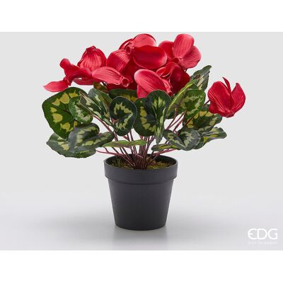 EDG Enzo De Gasperi Pianta Artificiale Ciclamino Con Foglie E Vaso H 32 Cm Fuchsia – Pianta Decorativa Realistica Design Moderno EDG Enzo De Gasperi Pianta Artificiale Ciclamino Con Foglie E Vaso H 32 Cm Fuchsia – Pianta Decorativa Realistica Design Moderno