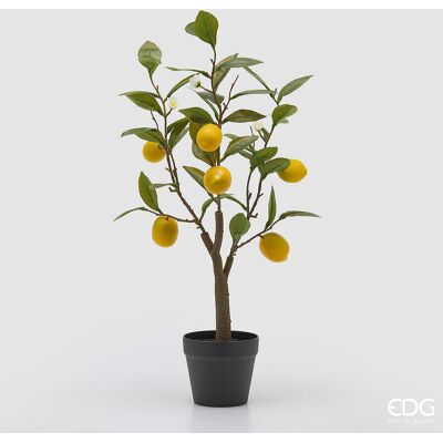 EDG Enzo De Gasperi Limone Con Vaso E Foglie X6 Pianta Artificiale H 60 Cm Verde Giallo EDG Enzo De Gasperi Limone Con Vaso E Foglie X6 Pianta Artificiale H 60 Cm Verde Giallo