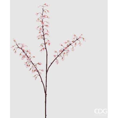 EDG Enzo De Gasperi Heuchera Rex 3 Rami H 112 Cm Bianco Rosa EDG Enzo De Gasperi Heuchera Rex 3 Rami H 112 Cm Bianco Rosa