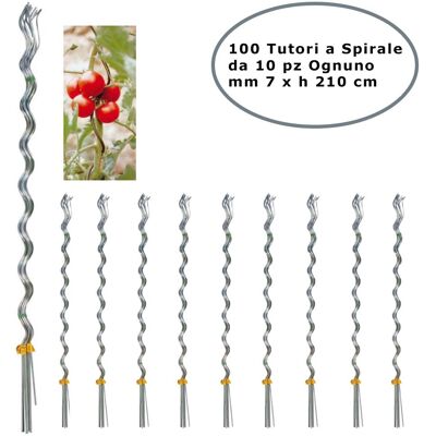 VERDEMAX Tutori A Spirale Per Pomodori In Acciaio Zincato Confezione Da 100 Pezzi 7 Mm X 210 Cm VERDEMAX Tutori A Spirale Per Pomodori In Acciaio Zincato Confezione Da 100 Pezzi 7 Mm X 210 Cm