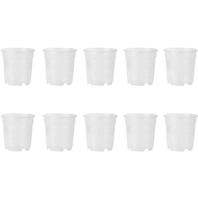 ALTRO 10 Vasi Per Orchidee Ø17cm Completamente Trasparenti Promo ALTRO 10 Vasi Per Orchidee Ø17cm Completamente Trasparenti Promo