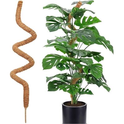 OEM Supporto Per Piante Rampicanti In Muschio Lungo 120 Cm, Steli Flessibili, Adatto A Piante Rampicanti Come Monstera Deliciosa Ed Edera, 1 Confezione OEM Supporto Per Piante Rampicanti In Muschio Lungo 120 Cm, Steli Flessibili, Adatto A Piante Rampicanti Come Monstera Deliciosa Ed Edera, 1 Confezione
