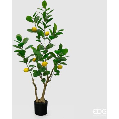 EDG Enzo De Gasperi Limone Vogue X6 Con Vaso Pianta Artificiale H 126 Cm Verde Giallo EDG Enzo De Gasperi Limone Vogue X6 Con Vaso Pianta Artificiale H 126 Cm Verde Giallo