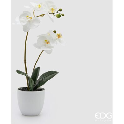 EDG Enzo De Gasperi Orchidea Phalaenopsis Con Vaso E Foglie H 50 Cm Pianta Artificiale Bianco EDG Enzo De Gasperi Orchidea Phalaenopsis Con Vaso E Foglie H 50 Cm Pianta Artificiale Bianco