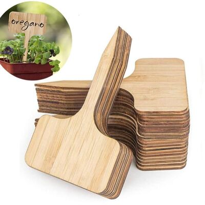 AULEDIO 50 Etichette Piante Legno T Forma Resistenti Uv Riutilizzabili Durature Per Orto E Nomi Piantine AULEDIO 50 Etichette Piante Legno T Forma Resistenti Uv Riutilizzabili Durature Per Orto E Nomi Piantine