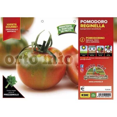 Mitac Pomodoro Quinto Gusto Var. Yup Mitac Pomodoro Quinto Gusto Var. Yup