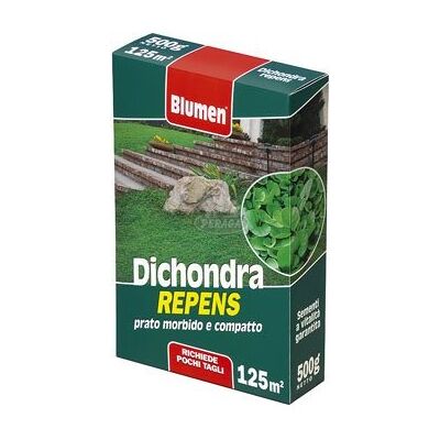 BLUMEN - Dichondra Reptans 500g - Pianta di Prato BLUMEN - Dichondra Reptans 500g - Pianta di Prato
