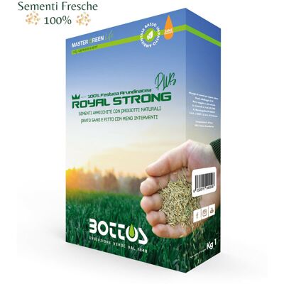 BOTTOS - Royal Strong Plus / 1 Kg - Sementi Per Prato BOTTOS - Royal Strong Plus / 1 Kg - Sementi Per Prato