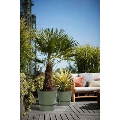 Elho Vaso Da Fiori Rotondo Greenville 30 - Esterno - Ø 29,5 X H 27,8 Cm - Nero Vivente - Elho Vaso Da Fiori Rotondo Greenville 30 - Esterno - Ø 29,5 X H 27,8 Cm - Nero Vivente -