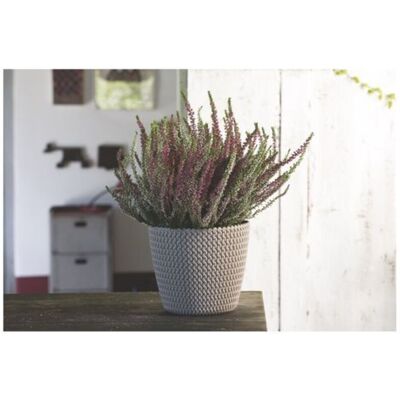 Prosperplast Vaso Da Fiori Color Moka Splofy Dsp130 Prosperplast Vaso Da Fiori Color Moka Splofy Dsp130
