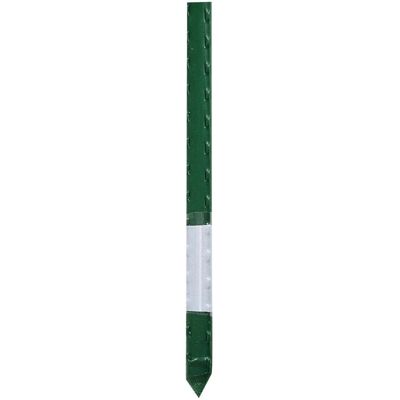 OEM Tutore Acciaio Plastificato H240cm OEM Tutore Acciaio Plastificato H240cm
