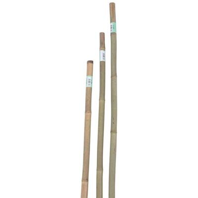 VERDEMAX - Canna bamboo h76 - 8-10 mm - Tutore per piante VERDEMAX - Canna bamboo h76 - 8-10 mm - Tutore per piante