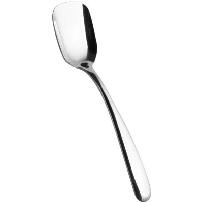 SALVINELLI Paletta Da Gelato Inox Forever Set 12 Pz SALVINELLI Paletta Da Gelato Inox Forever Set 12 Pz