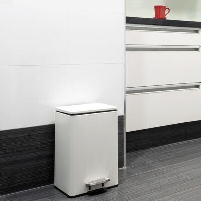 EMUCA Contenitore Rettangolare Per La Raccolta Differenziata Recycle, Apertura Del Coperchio A Pedale, 1x12lt, Alluminio, Verniciato Bianco - EMUCA Contenitore Rettangolare Per La Raccolta Differenziata Recycle, Apertura Del Coperchio A Pedale, 1x12lt, Alluminio, Verniciato Bianco -