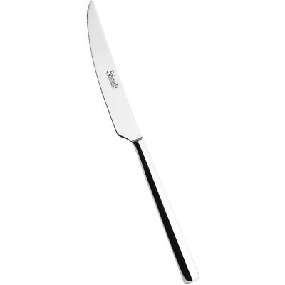 SALVINELLI Coltello Frutta Forgiato Inox 250 Set 12 Pz SALVINELLI Coltello Frutta Forgiato Inox 250 Set 12 Pz