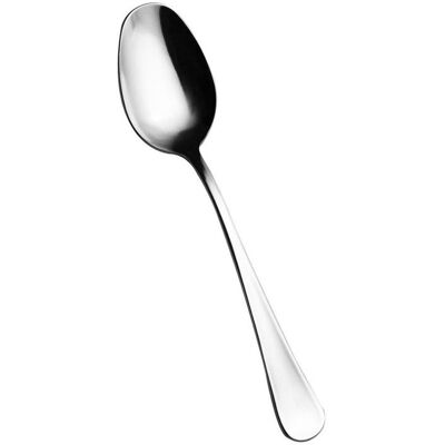 SALVINELLI Canada Set 12 Cucchiaio Frutta Acciaio Inox 18/10 SALVINELLI Canada Set 12 Cucchiaio Frutta Acciaio Inox 18/10