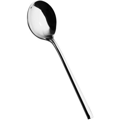 SALVINELLI Cucchiaione A Servire Inox 250 SALVINELLI Cucchiaione A Servire Inox 250