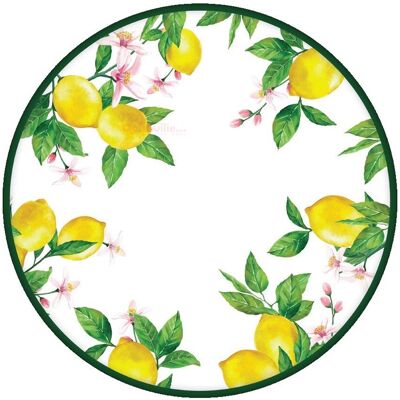 FADE Piatto Rotondo Jaffa Melamina D 44,5 Cm – Vassoio Grande Resistente Per Tavola E Servizio FADE Piatto Rotondo Jaffa Melamina D 44,5 Cm – Vassoio Grande Resistente Per Tavola E Servizio