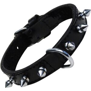 Gloria Collare Per Cani Nero Sspuntoni (50 Cm) Gloria Collare Per Cani Nero Sspuntoni (50 Cm)