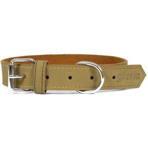 Gloria Collare Per Cani Oasis Verde (65 X 3 Cm) Gloria Collare Per Cani Oasis Verde (65 X 3 Cm)