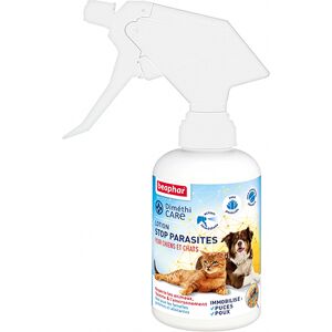 beaphar Dimethicare Spray Ambientale E Insetticida Per Gatti, 250 Ml - beaphar Dimethicare Spray Ambientale E Insetticida Per Gatti, 250 Ml -