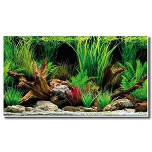 Sfondo doppio Wonder di Amtra - 30x60 cm Sfondo doppio Wonder di Amtra - 30x60 cm