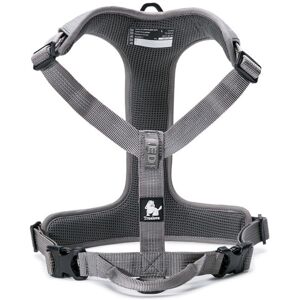 Truelove Lumen Grigio XS Pettorina per cane - Pettorina per cane Truelove Lumen Grigio XS Pettorina per cane - Pettorina per cane