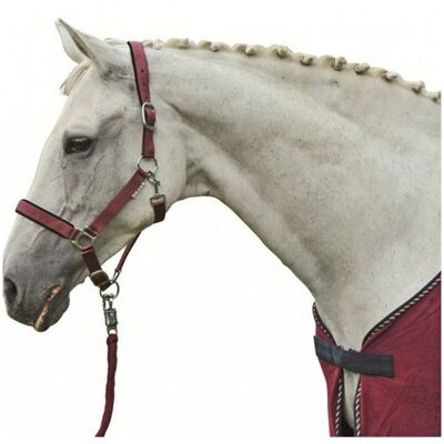 HKM Pony, Blu Navy 6900: Capezza Per Cavalli In Nylon Imbottita E Mobida Modello Stars Economy HKM Pony, Blu Navy 6900: Capezza Per Cavalli In Nylon Imbottita E Mobida Modello Stars Economy