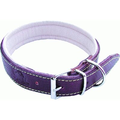 OEM Inferramenta - Collare Per Cane Larg. Mm 25 Lung.cm 50 Pz 6 OEM Inferramenta - Collare Per Cane Larg. Mm 25 Lung.cm 50 Pz 6