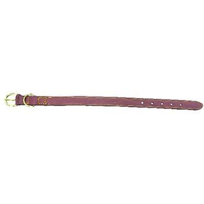 OEM Collare Per Cane Larg. Mm 35 Lung. Cm 67 Nuova Cuoio 6 Pz OEM Collare Per Cane Larg. Mm 35 Lung. Cm 67 Nuova Cuoio 6 Pz