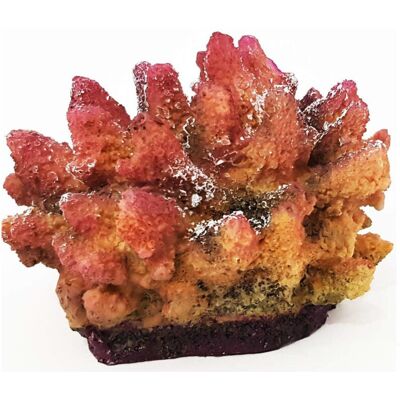 TRADE SHOP TRAESIO - Corallo In Resina Ornamento Per Acquario 15x10.5x13 Cm Sottomarino Decorazioni - TRADE SHOP TRAESIO - Corallo In Resina Ornamento Per Acquario 15x10.5x13 Cm Sottomarino Decorazioni -