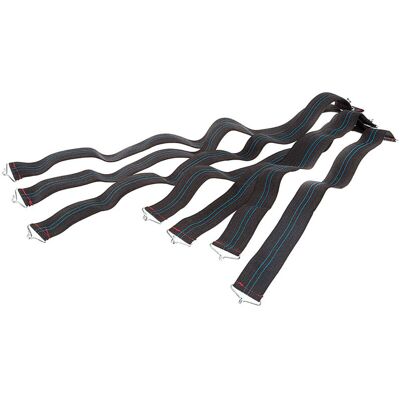 FERPLAST - Set Elastici Di Ricambio Dream Set Di Elastici Per Brandina Per Cani Dream. Variante 115 - Misure: 15 X 12 X H 5 Cm - FERPLAST - Set Elastici Di Ricambio Dream Set Di Elastici Per Brandina Per Cani Dream. Variante 115 - Misure: 15 X 12 X H 5 Cm -